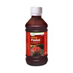 Hamdard Sharbat-E-Faulad, 175ml