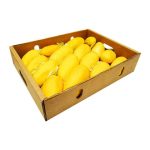 Fresh Basket Mango Sindhri Gift Box, 7KG Gross Weight