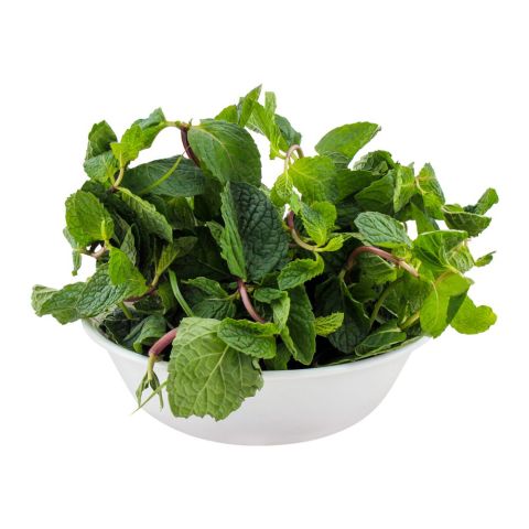 Mint Leaves (Pudina) Local 1-Bunch Mint Leaves (Pudina) Local 1-Bunch - Image 1