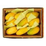 Mango Sindhri (Special Assorted) Gift Box, 3KG Gross Weight